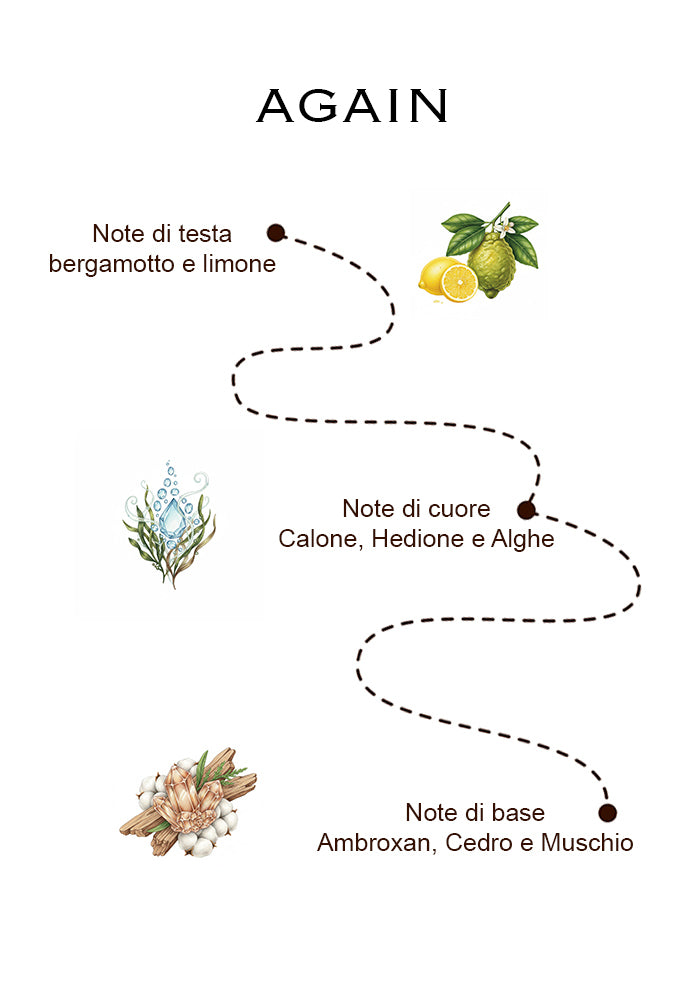 Kit Lens Essence – L’inizio di un viaggio olfattivo